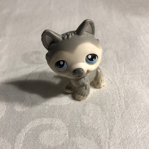 Littlest Pet Shop #69 Husky Dog LPS - Picture 1 of 16